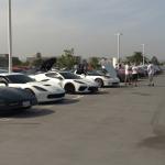 Peterson2023_016 (February 05, 2023)